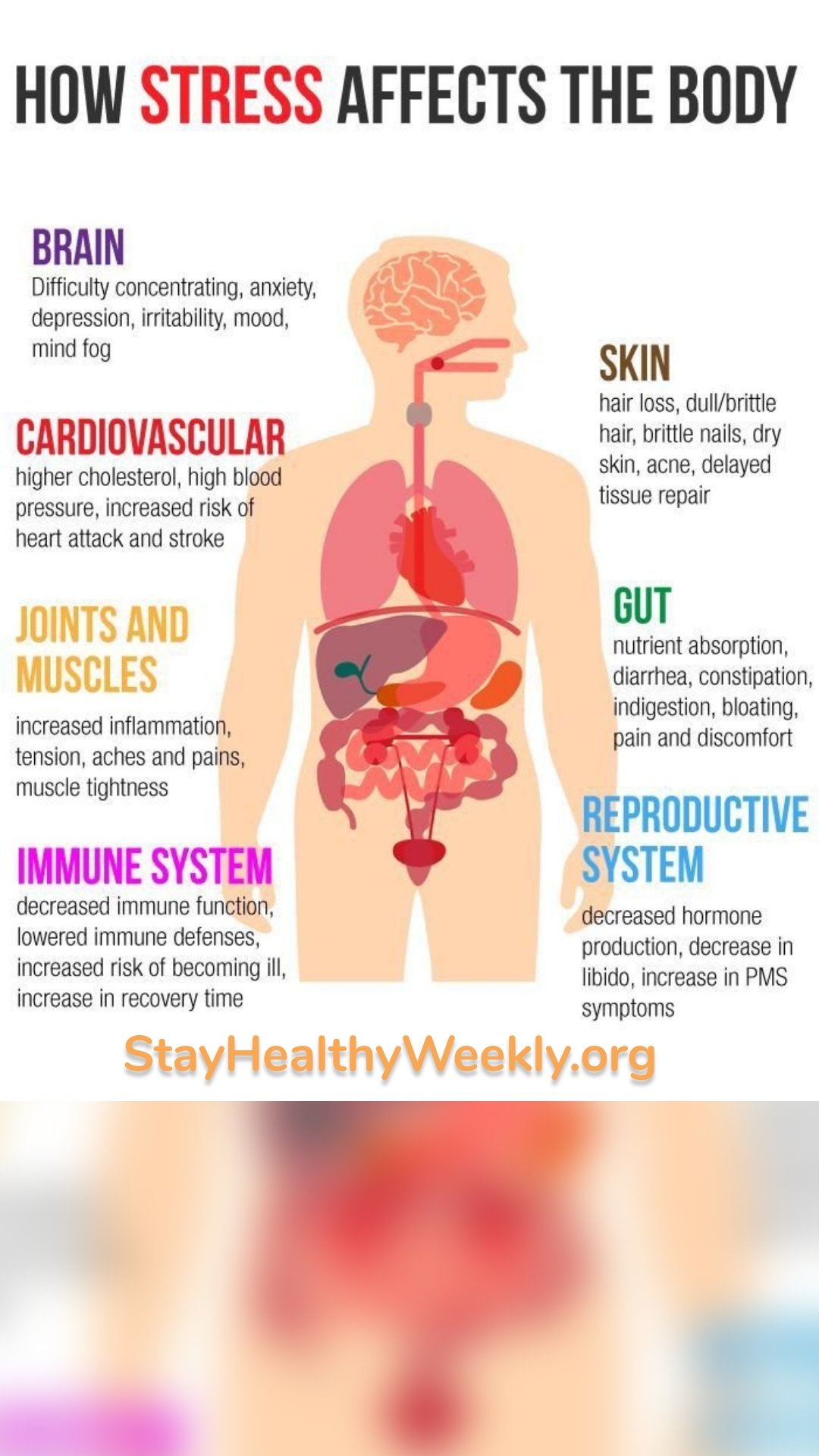 StayHealthyWeekly.org