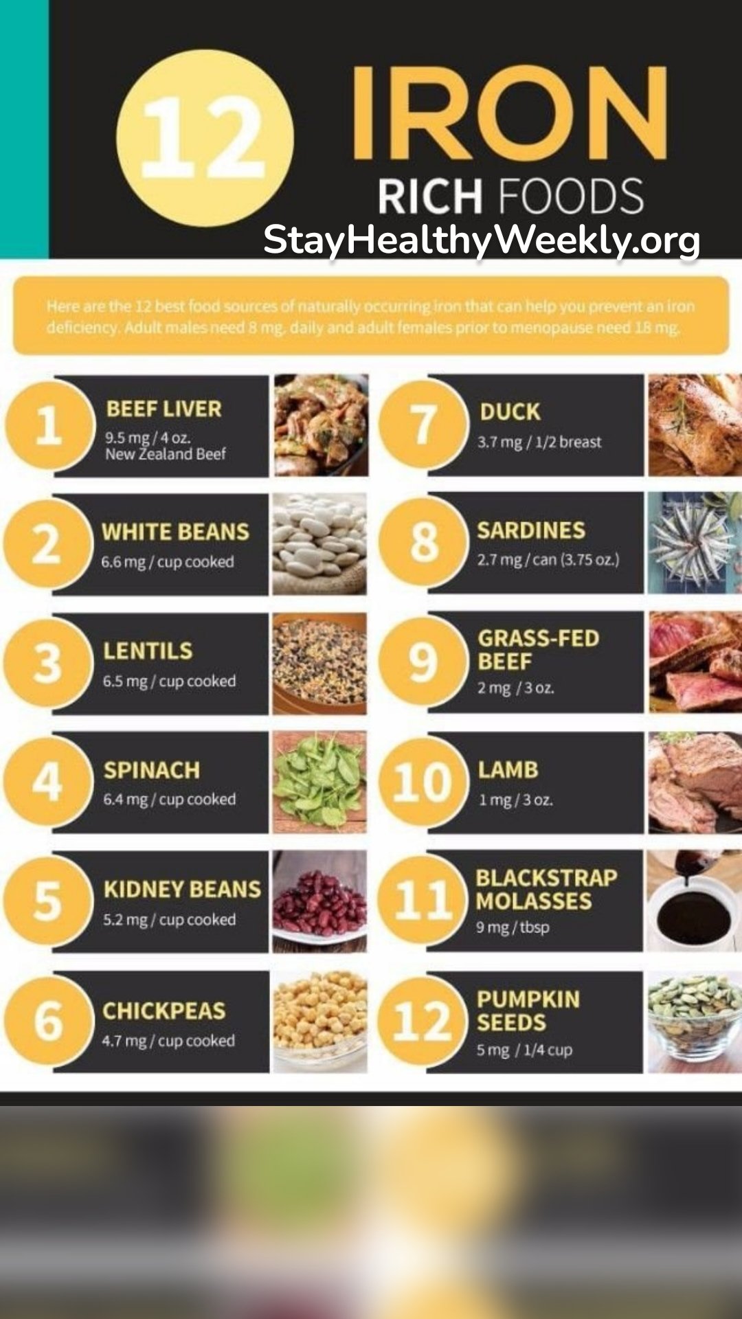 StayHealthyWeekly.org 