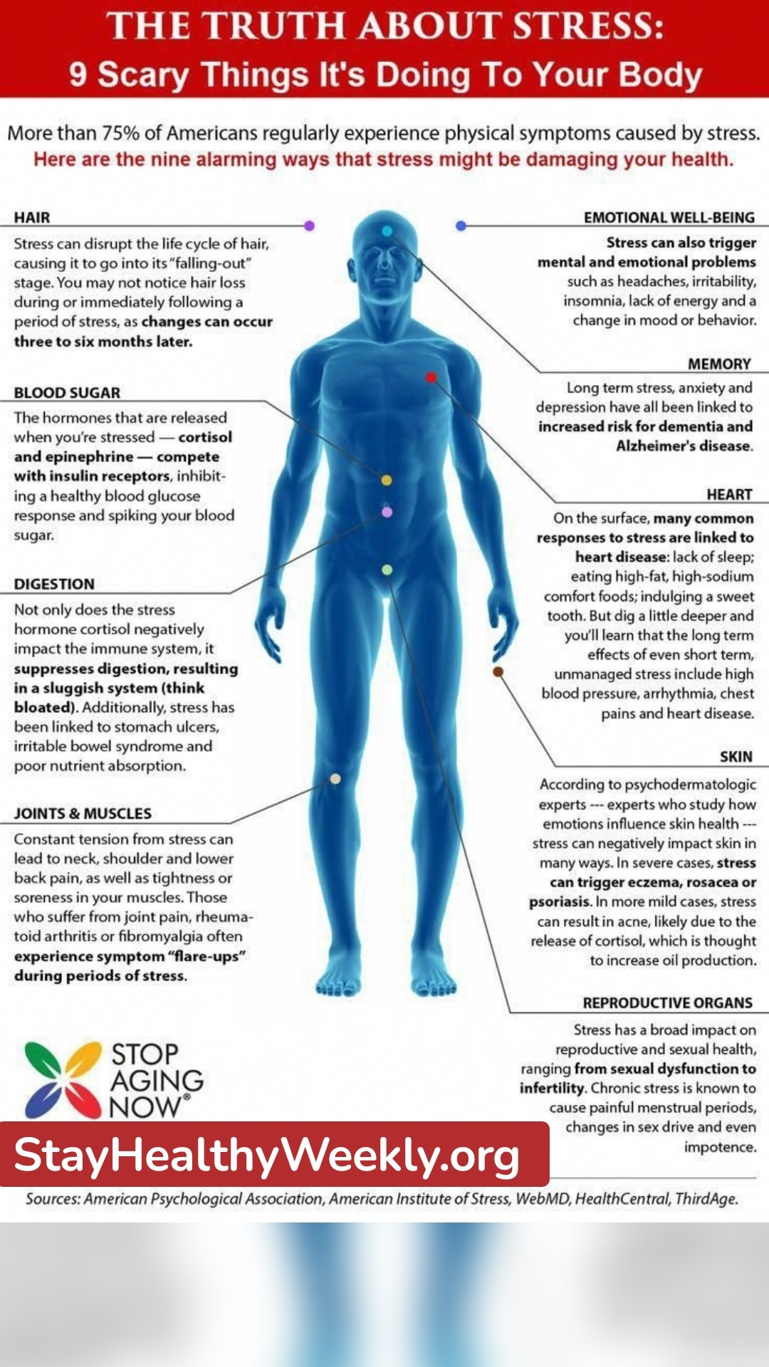 StayHealthyWeekly.org 