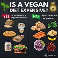 Why do vegetarian foods cost a lot of money and animal foods less&nbsp;money?