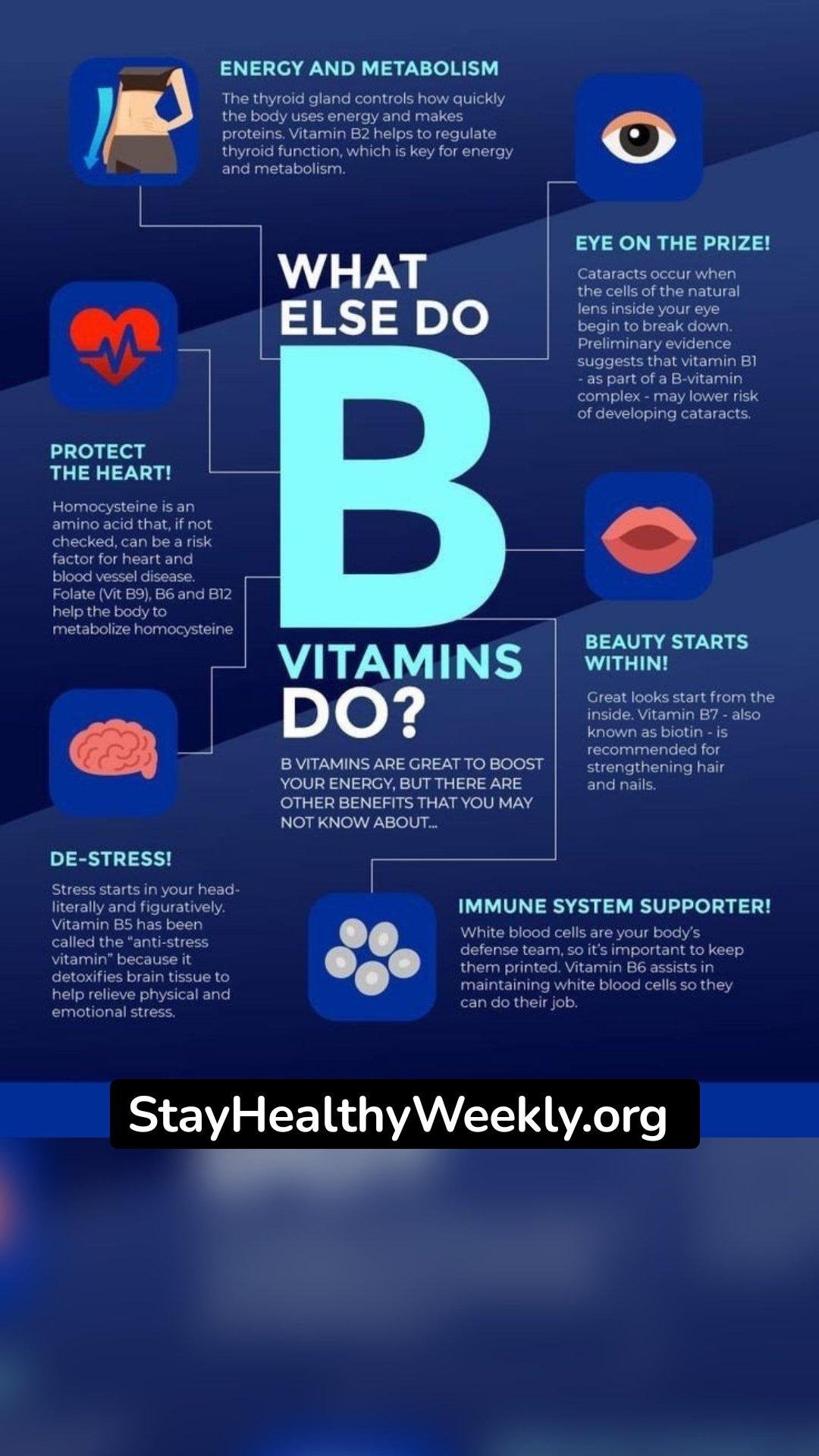 StayHealthyWeekly.org 