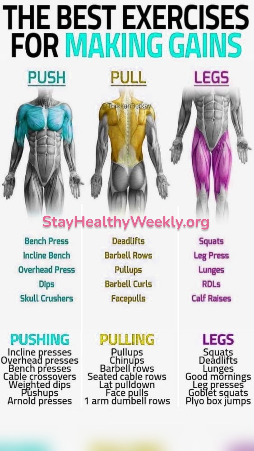 StayHealthyWeekly.org 