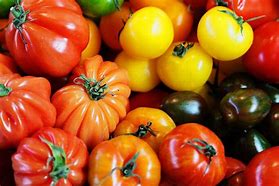 Where do Tomatoes Come&nbsp;from?