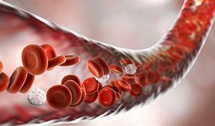 Foods that Improve Blood Circulation and Reduce the Risk of Heart&nbsp;Attacks-