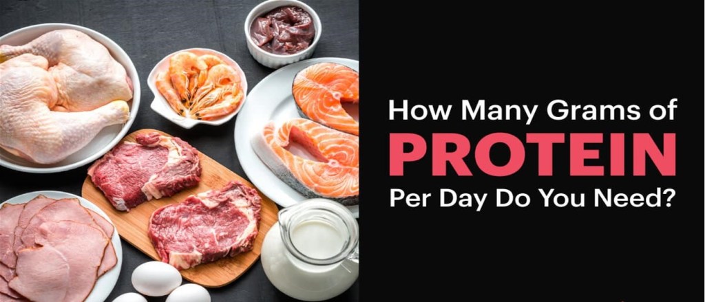 How Many Grams of Protein Per Day Do You&nbsp;Need-
