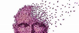 Globally, more than 50 million people have dementia, and an estimated 10 million new cases are reported each&nbsp;year