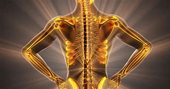 Bone Health: Tips to keep your bones&nbsp;healthy
