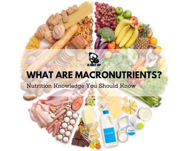 Understanding Micronutrients: The Tiny Nutritional&nbsp;Heroes
