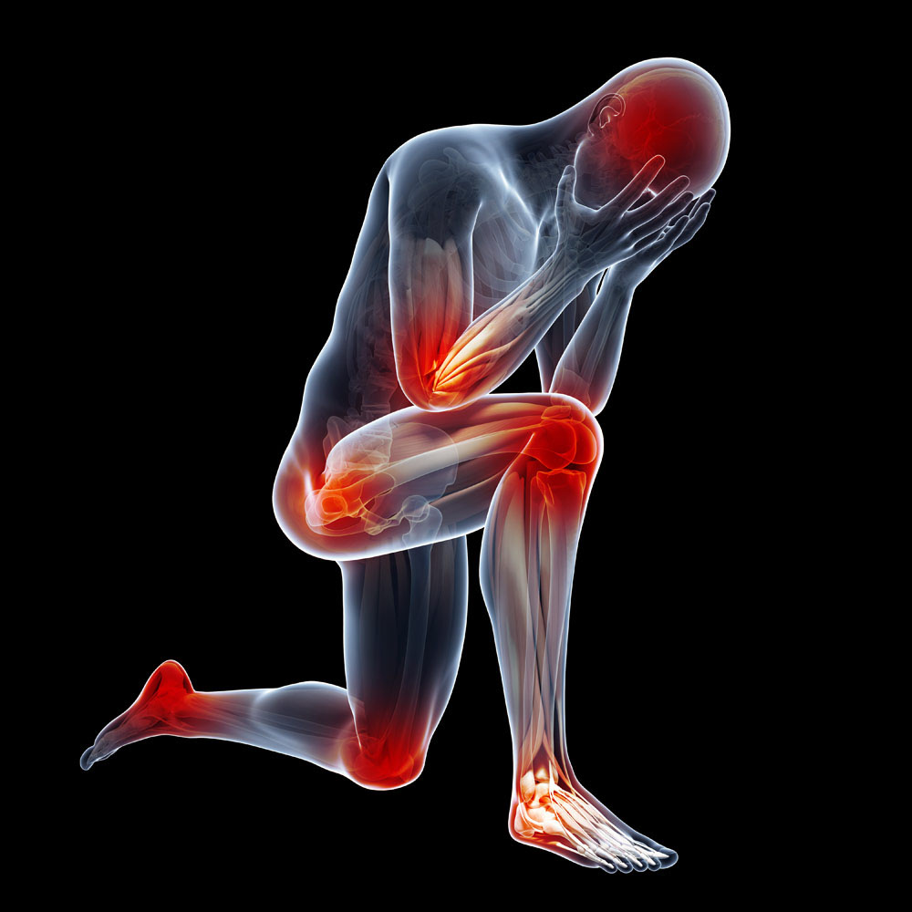 Glucosamine: Nourishing Joint Health and Easing&nbsp;Discomfort