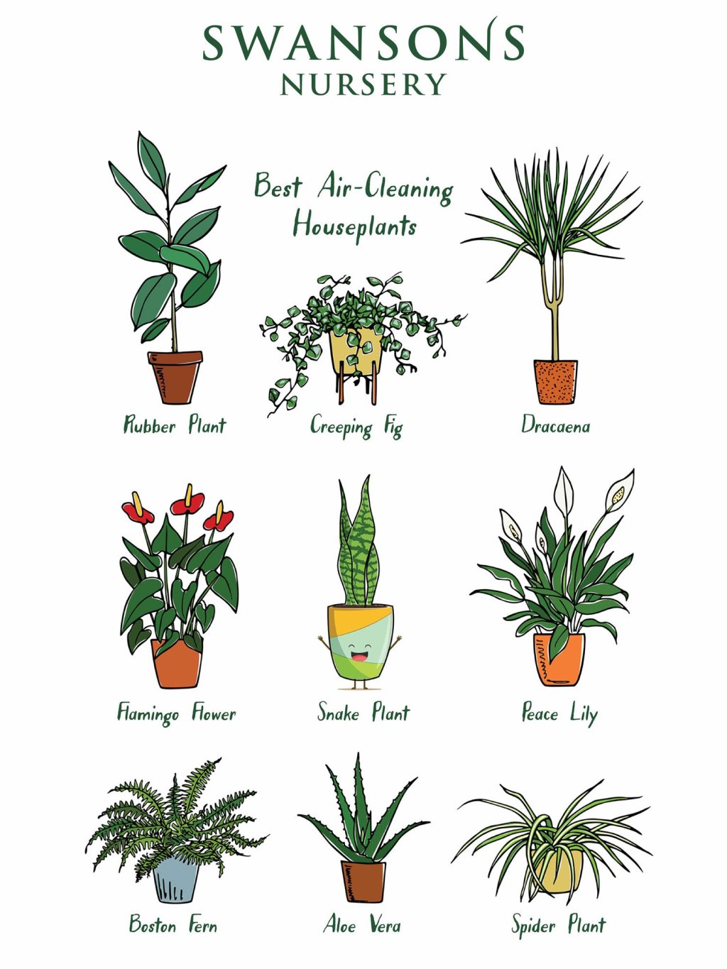 Benefits of Indoor&nbsp;Plants