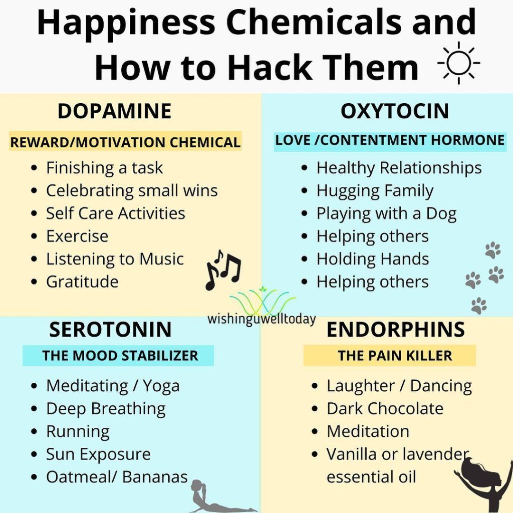 5 Happiness Hacks: Sanity, Coffee, and Chaos In Quirky&nbsp;Style