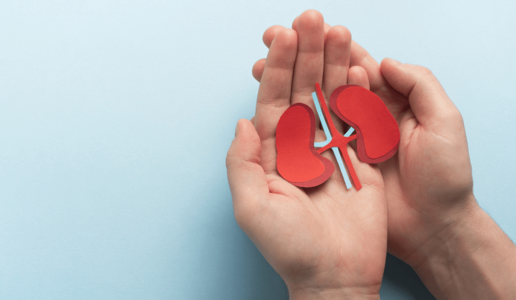 10 good tips for maintaining kidney&nbsp;health