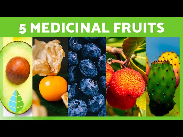 Five Incredible Fruits for Health and&nbsp;Wellness
