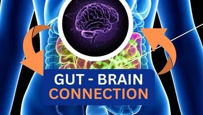 The Mind-Gut Connection: How Gut Health Shapes Mental&nbsp;Wellness